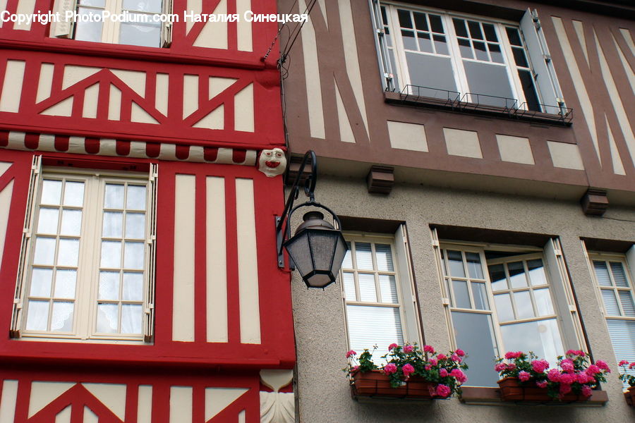 Building, Housing, Balcony, Blossom, Flora, Flower, Geranium