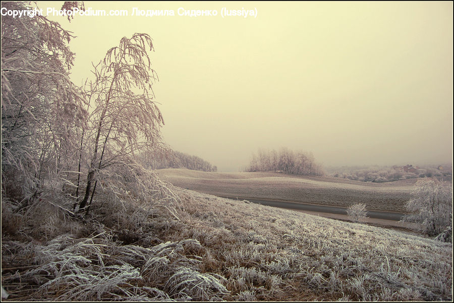 Frost, Ice, Outdoors, Snow, Field, Grass, Grassland