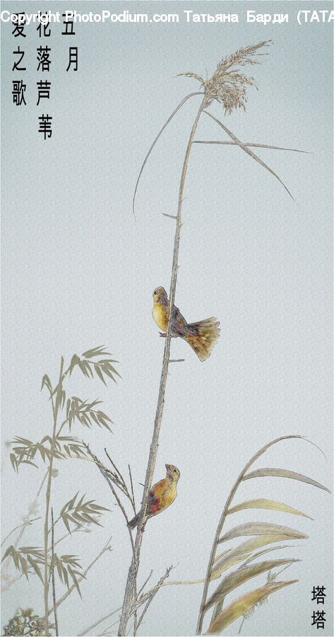 Bird, Finch, Grass, Plant, Reed, Flower Arrangement, Ikebana