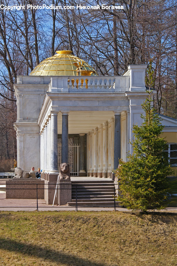 Gazebo, Art, Sculpture, Statue, Conifer, Fir, Pine