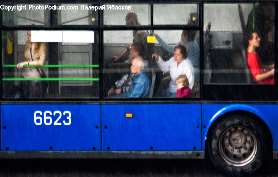 Human, People, Person, Bus, Vehicle, Portrait, Selfie