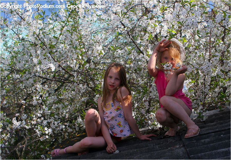 Human, People, Person, Plant, Potted Plant, Blossom, Flora