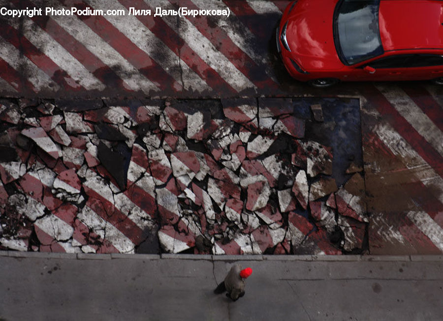Bbq, Food, Rubble, Cobblestone, Pavement, Walkway, Rock