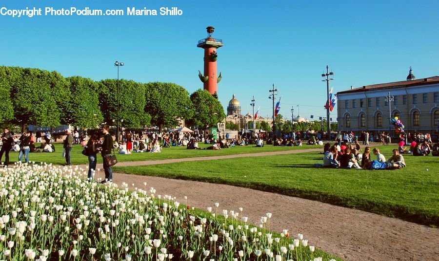 Crowd, Field, Grass, Grassland, Plant, Lawn, Park