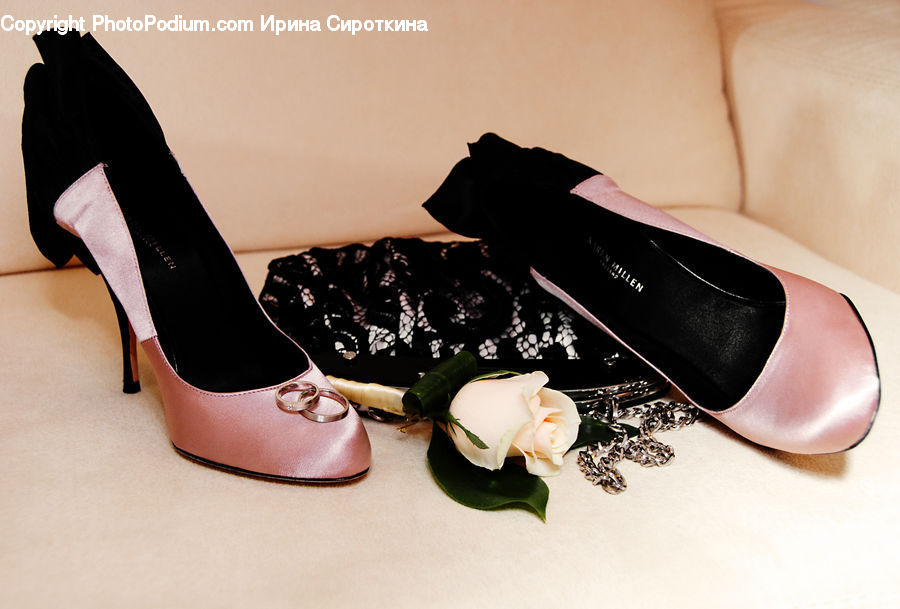 Blossom, Flower, Plant, Rose, Footwear, High Heel, Shoe
