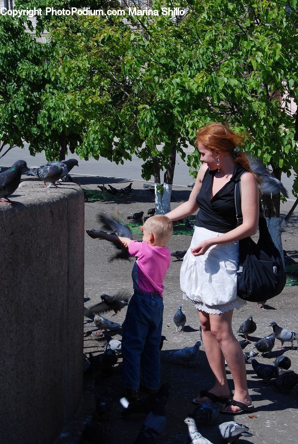 People, Person, Human, Bird, Pigeon, Plant, Potted Plant