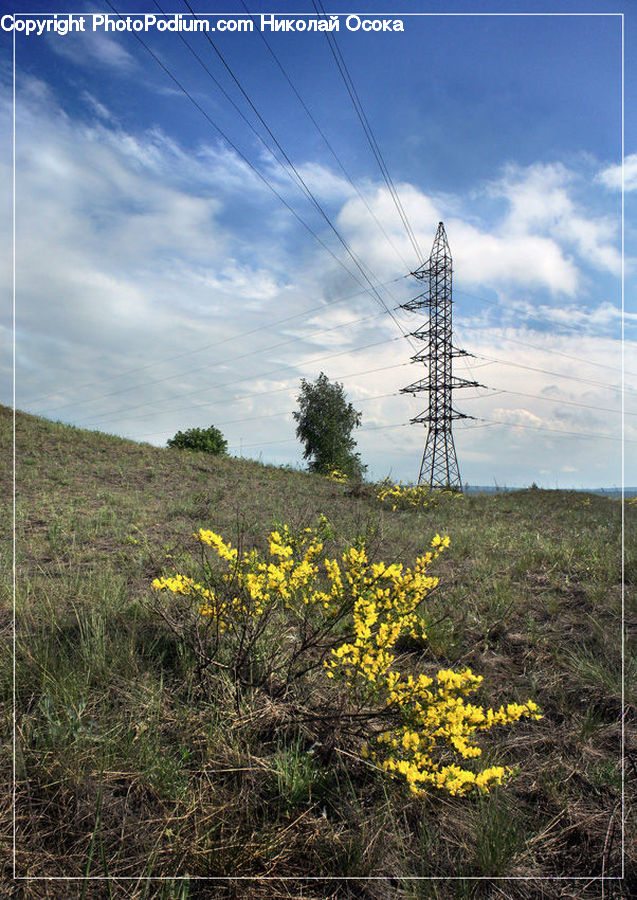 Cable, Electric Transmission Tower, Power Lines, Field, Grass, Grassland, Land