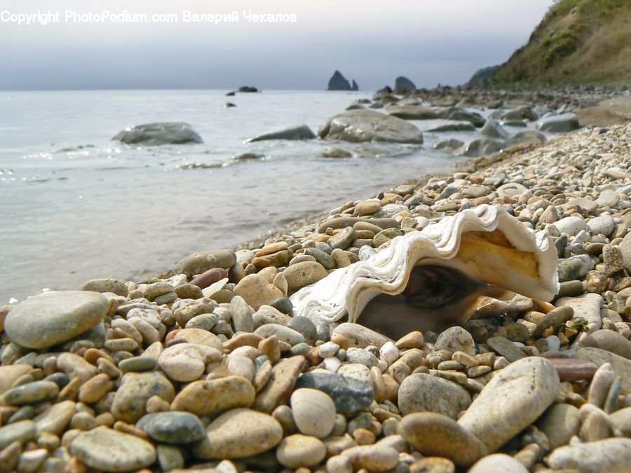 Pebble, Coast, Outdoors, Sea, Water, Beach, Rubble