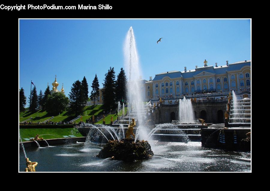 Fountain, Water, Plant, Potted Plant, Building, Housing, Villa