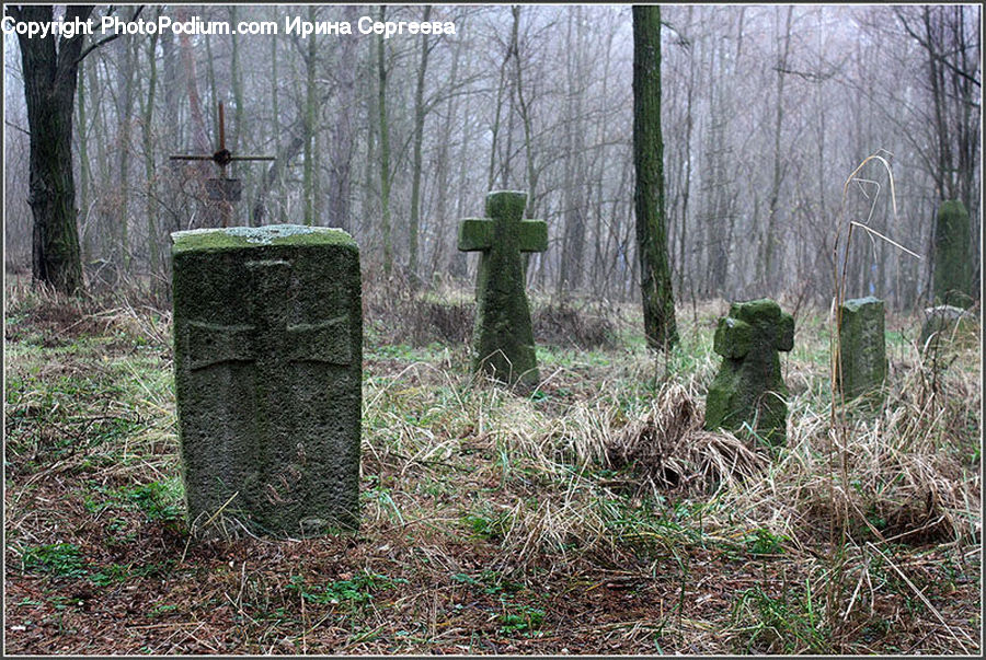 Cross, Forest, Vegetation, Tomb, Tombstone, Field, Grass