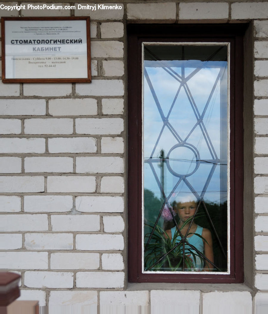 Plant, Potted Plant, Window, People, Person, Human, Plaque