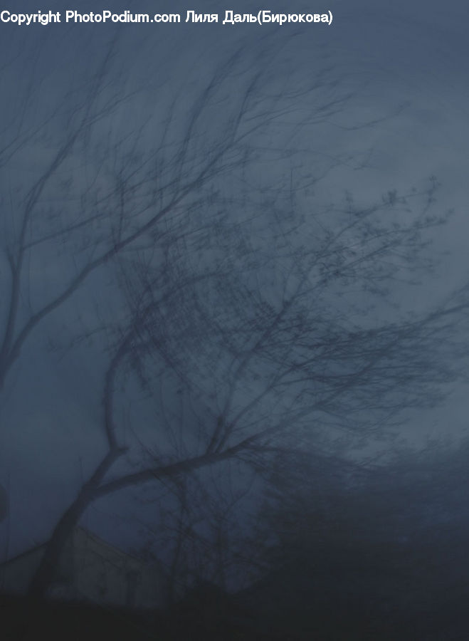People, Person, Human, Fog, Horizon, Sky, Landscape