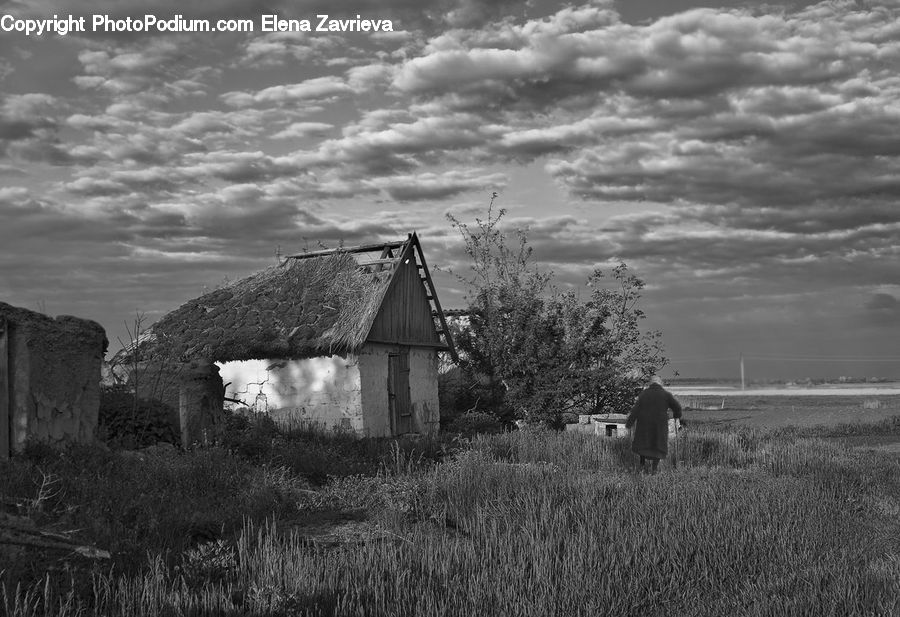 Countryside, Farm, Field, Rural, Outdoors, Cabin, Hut