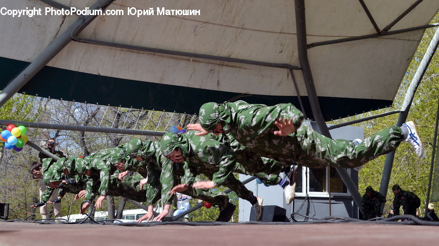 Plant, Potted Plant, Architecture, Shrine, Temple, Worship, Bonsai