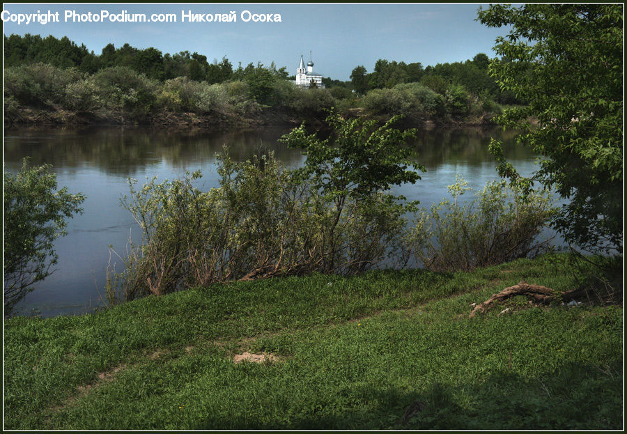 Outdoors, Pond, Water, Field, Grass, Grassland, Plant