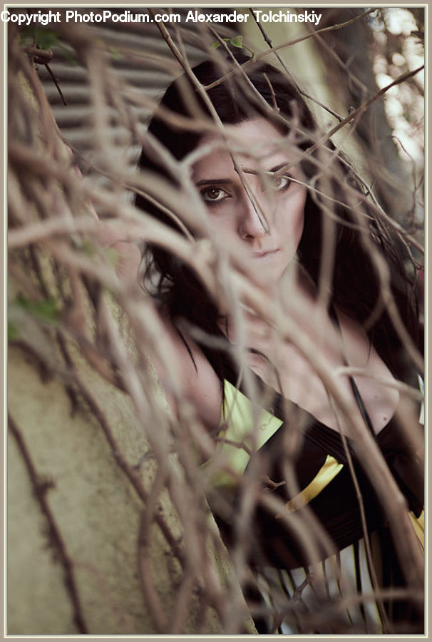 People, Person, Human, Plant, Grass, Reed, Conifer