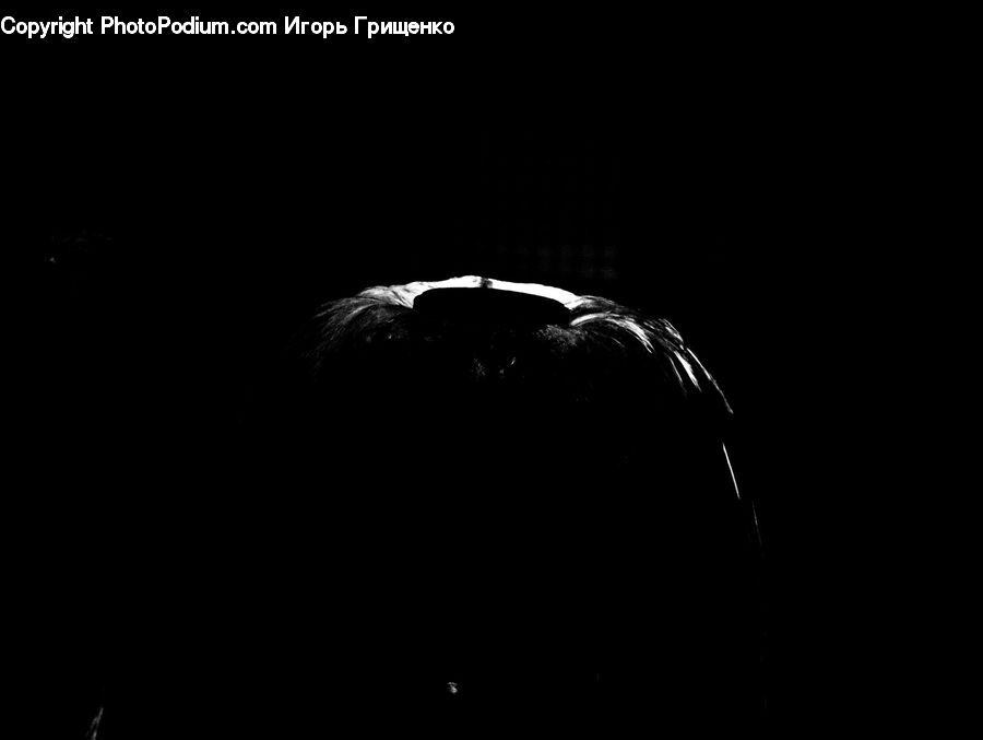 Tunnel, Head, Portrait, Night, Outdoors, Silhouette, Arch