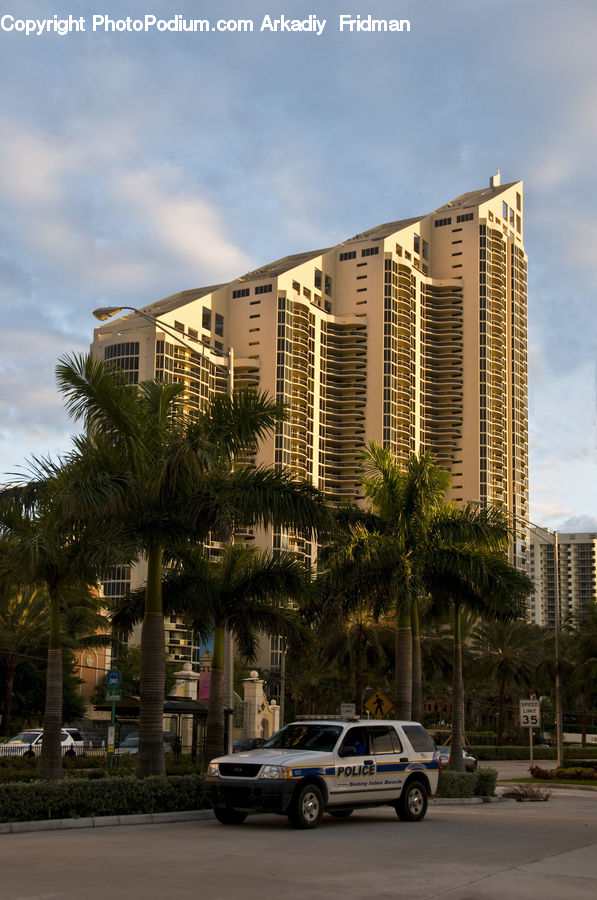 Building, Housing, Car, Suv, Vehicle, Palm Tree, Plant