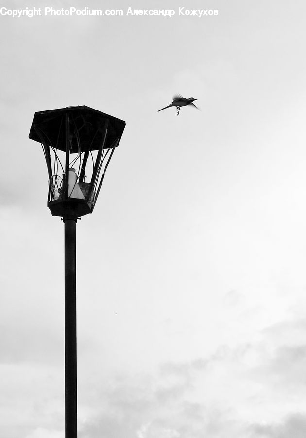 Lamp Post, Pole, Beacon, Building, Lighthouse, Water Tower, Architecture