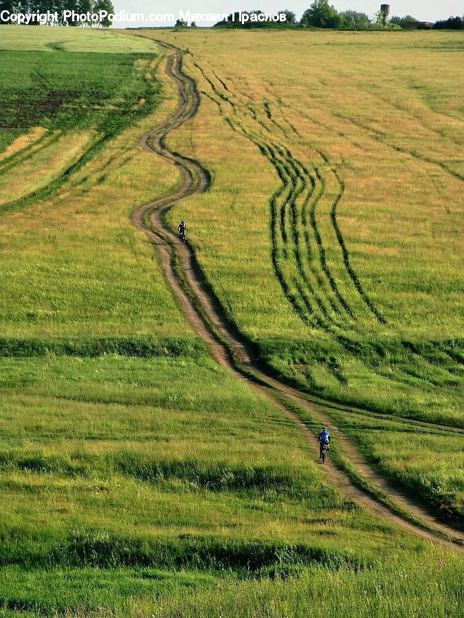 Countryside, Outdoors, Field, Landscape, Nature, Scenery, Grass