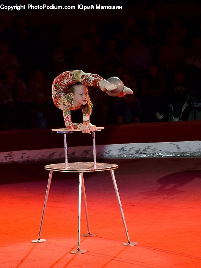 Chair, Furniture, Circus, Bird, Flamingo, Flock, Person