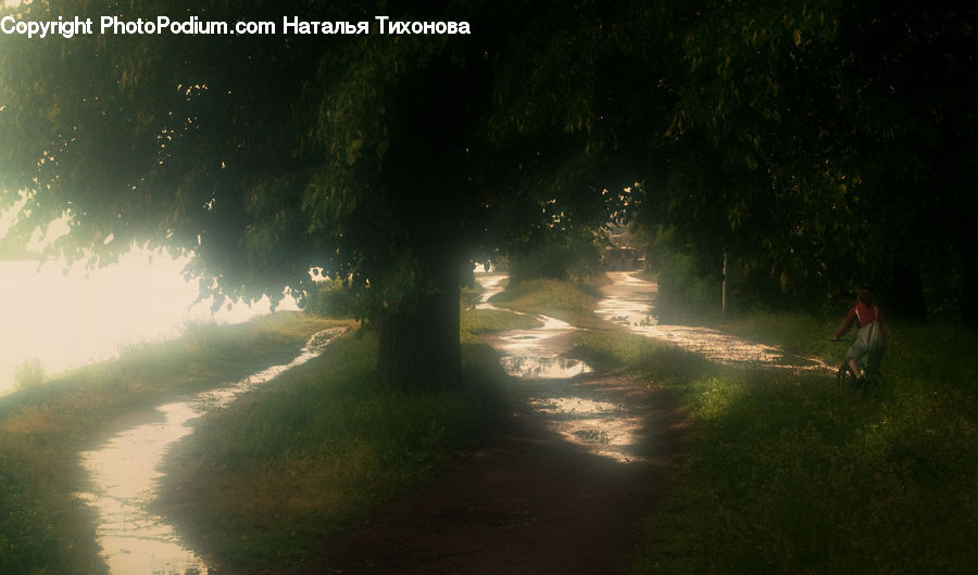 Dirt Road, Gravel, Road, Exercise, Fitness, Jogging, Light