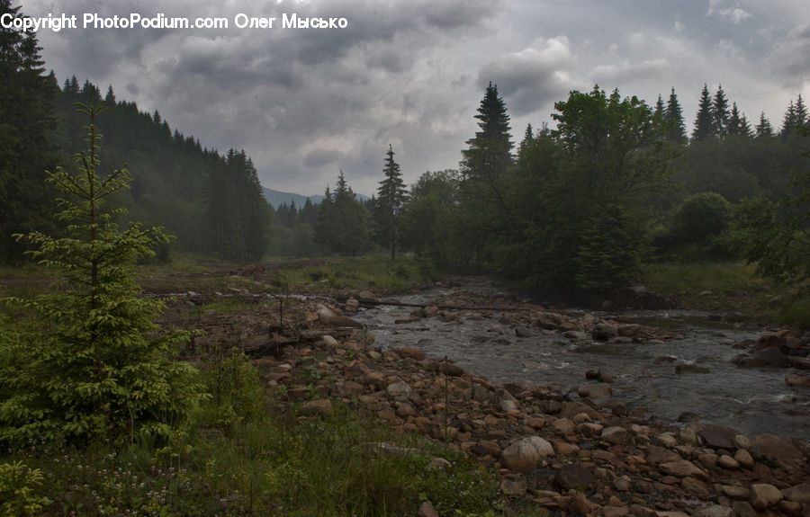 Outdoors, Wilderness, Creek, River, Water, Dirt Road, Gravel