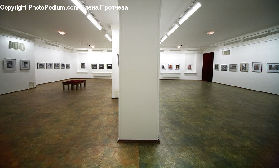 Floor, Flooring, Art, Art Gallery