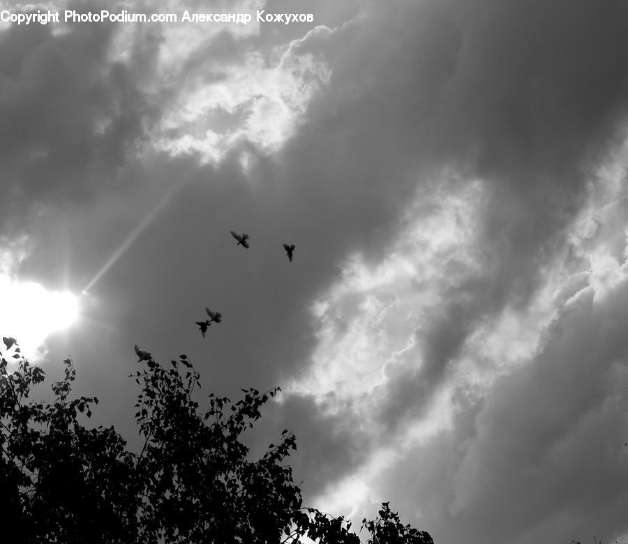 Silhouette, Outdoors, Sky, Flare, Light, Sunlight, Storm