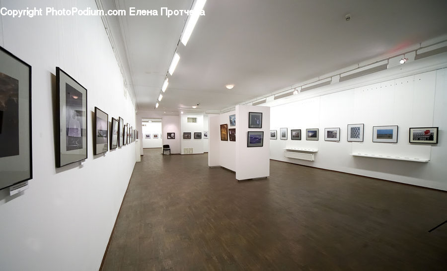 Art, Art Gallery, Floor, Flooring, Electronics, Monitor