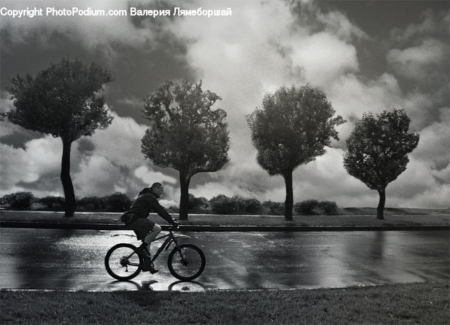 Bicycle, Bike, Vehicle, Tornado, Weather, Bmx, Fog