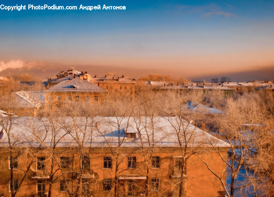 Building, Housing, Architecture, Monastery, Field, Grass, Grassland