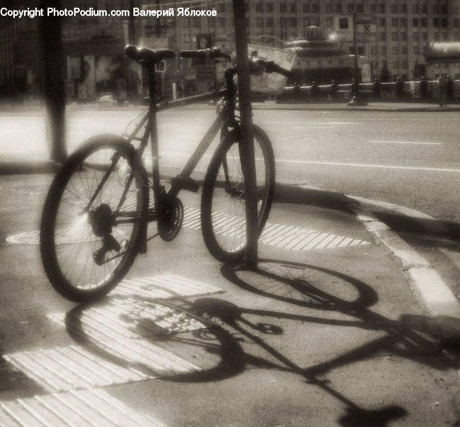 Bicycle, Bike, Vehicle, Cyclist, Bench, Asphalt, Tarmac