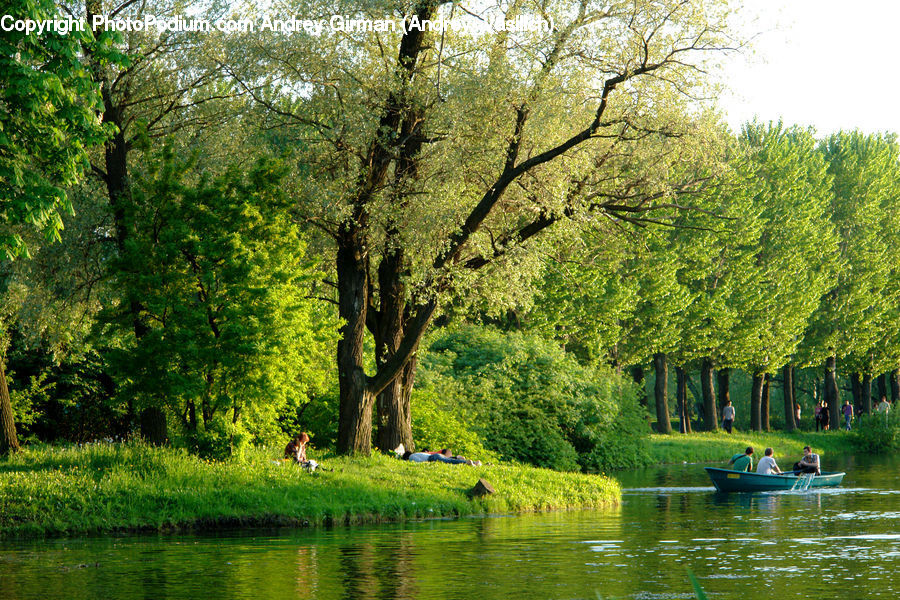 Canal, Outdoors, River, Water, Plant, Tree, Blossom