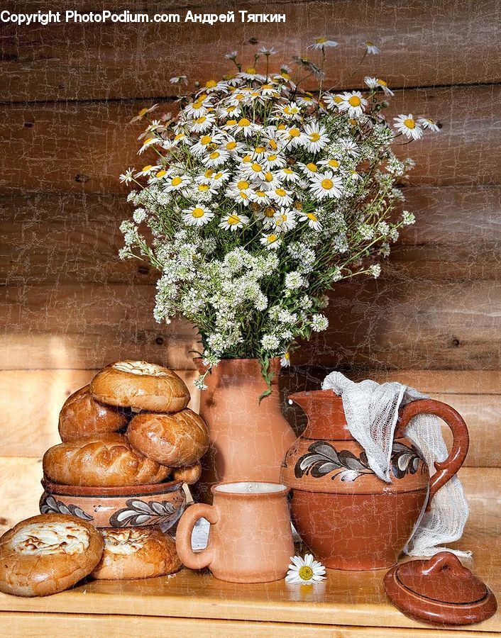 Plant, Potted Plant, Bread, Food, Pot, Pottery, Bagel