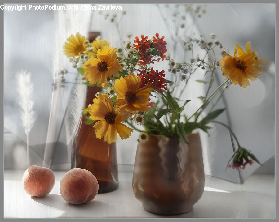 Plant, Potted Plant, Jar, Porcelain, Vase, Cricket Insect, Grasshopper