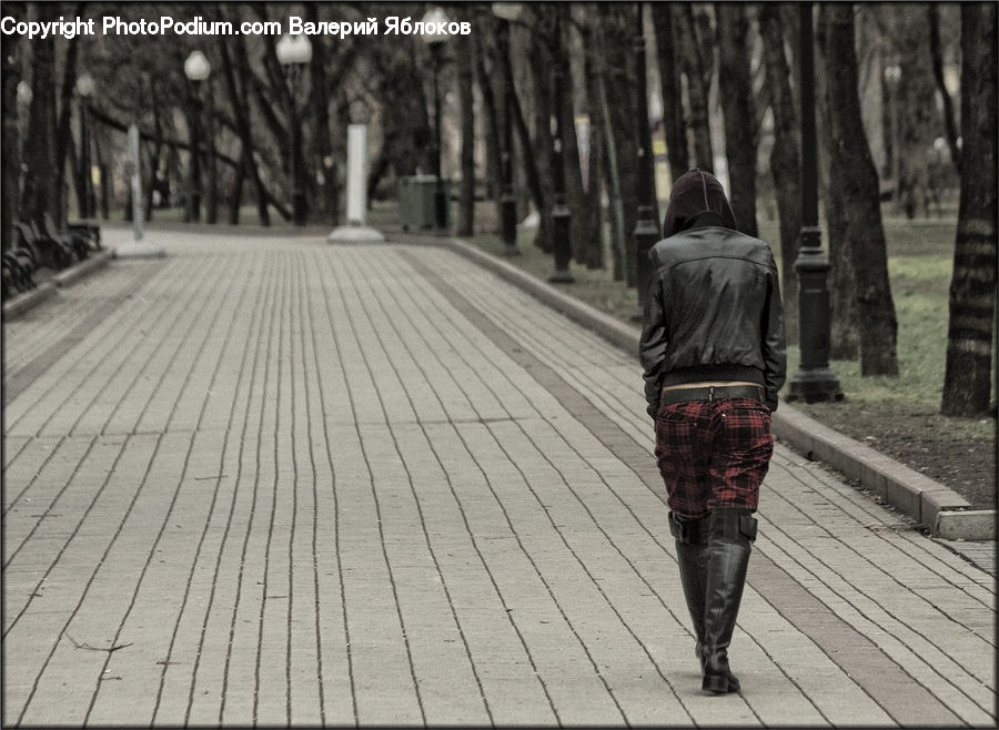 People, Person, Human, Boardwalk, Deck, Path, Sidewalk