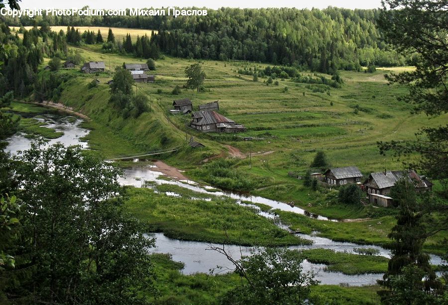 Cabin, Hut, Rural, Shack, Shelter, Roof, Building