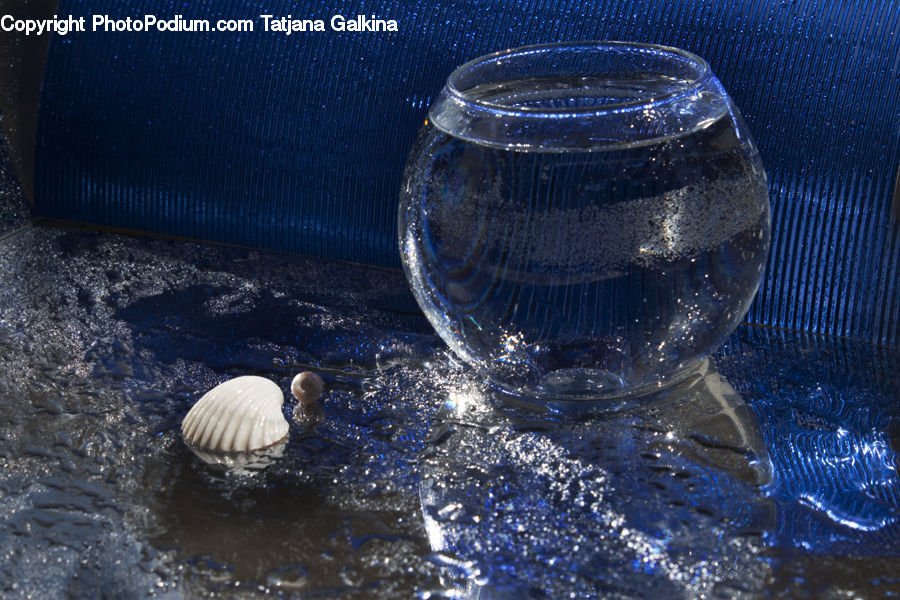 Clam, Seashell, Glass, Goblet, Sea Life, Ball, Sphere