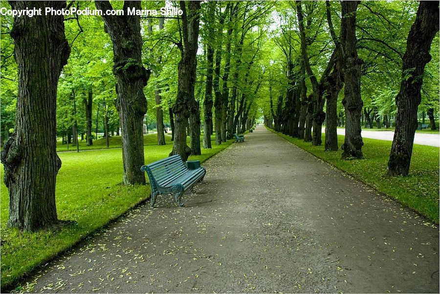 Park Bench, Path, Road, Walkway, Art, Sculpture, Statue