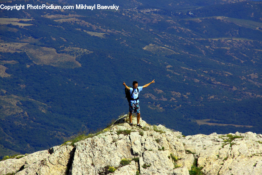 Bird, Condor, Vulture, Hiking, Leisure Activities, Outdoors, Sea