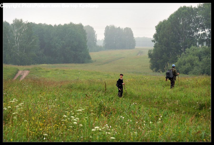 Field, Grass, Grassland, Land, Outdoors, Dirt Road, Gravel