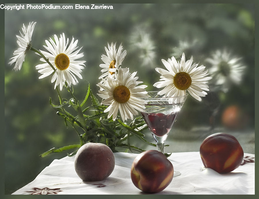 Apple, Fruit, Daisies, Daisy, Flower, Plant, Chocolate