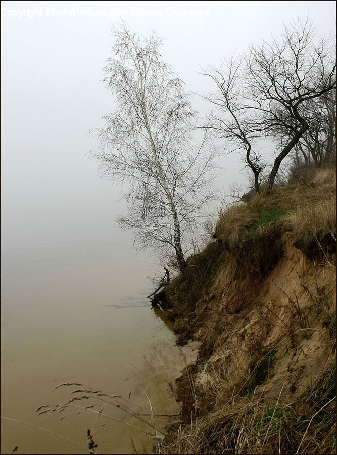 Ditch, Landscape, Nature, Scenery, Plant, Tree, Bush