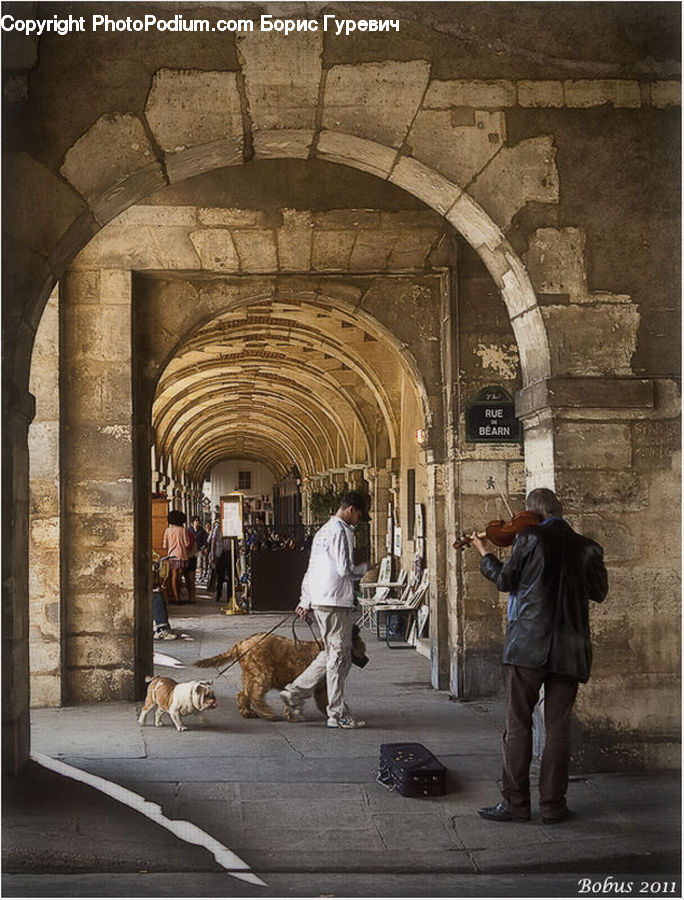 Human, People, Person, Afghan Hound, Animal, Canine, Dog