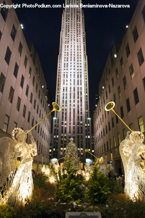 Building, Housing, Art, Sculpture, Statue, Conifer, Fir