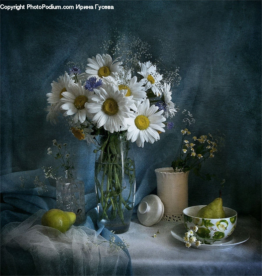 Daisies, Daisy, Flower, Plant, Flower Arrangement, Flower Bouquet, Porcelain