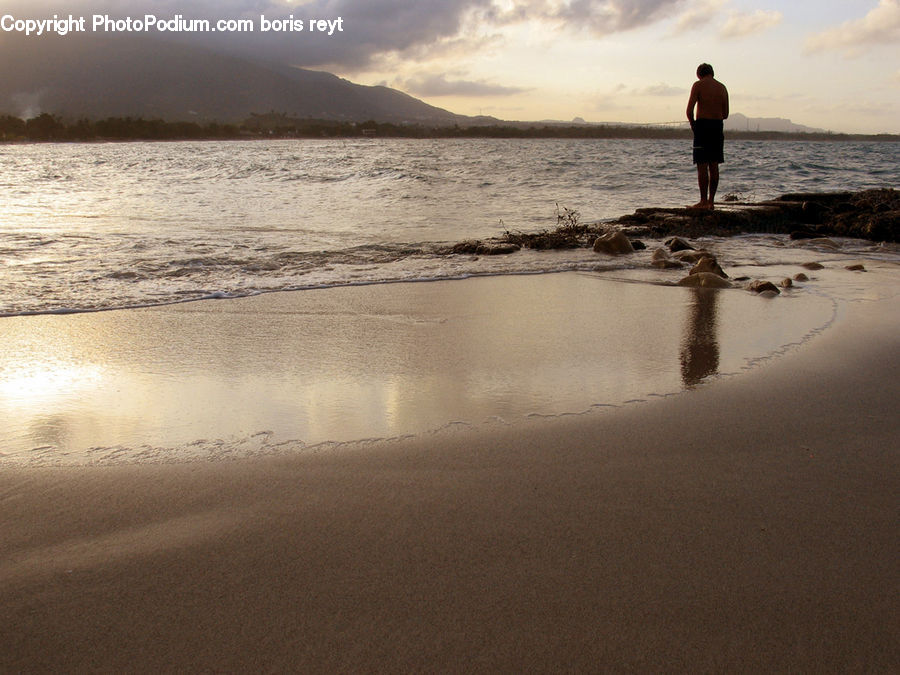 Beach, Coast, Outdoors, Sea, Water