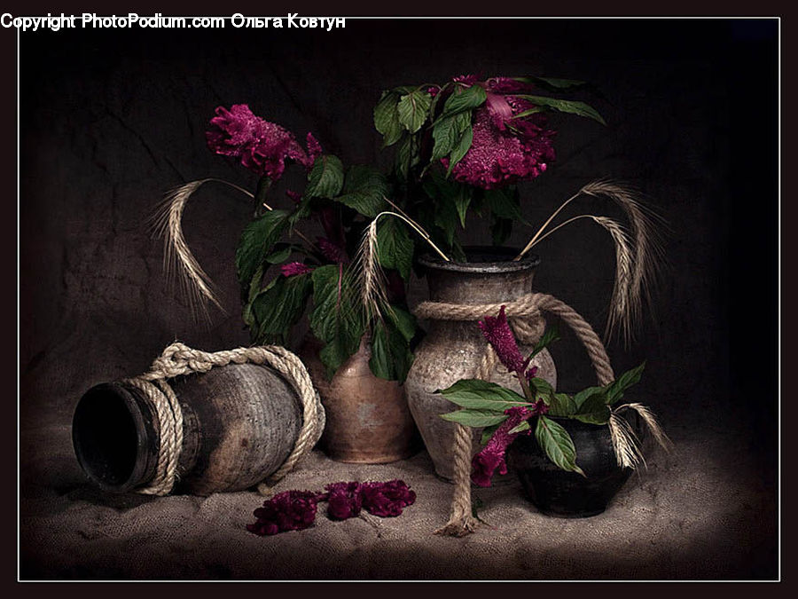 Plant, Potted Plant, Pot, Pottery, Flower, Flower Arrangement, Flower Bouquet
