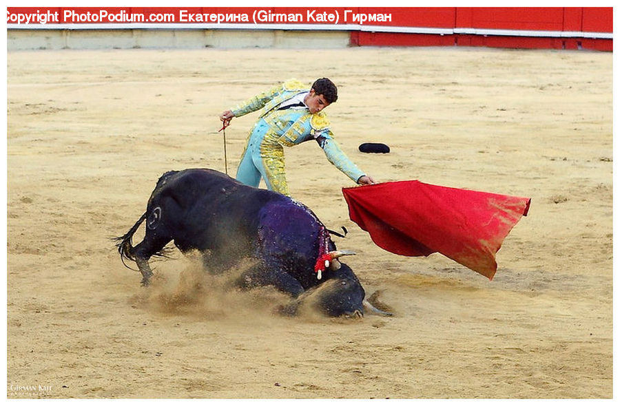People, Person, Human, Bull, Bullfighter, Bullfighting